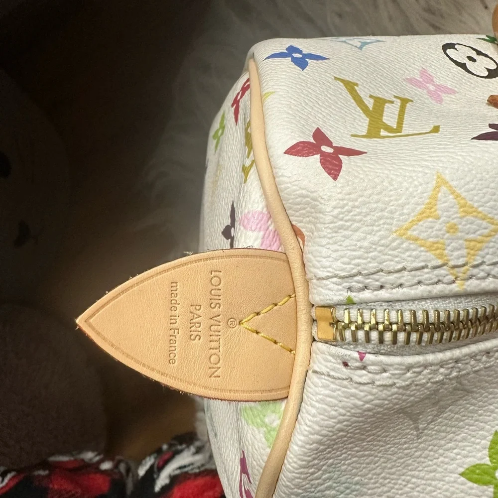 Louis Vuitton Multicolor Speedy🦄 - Picture 10 of 15